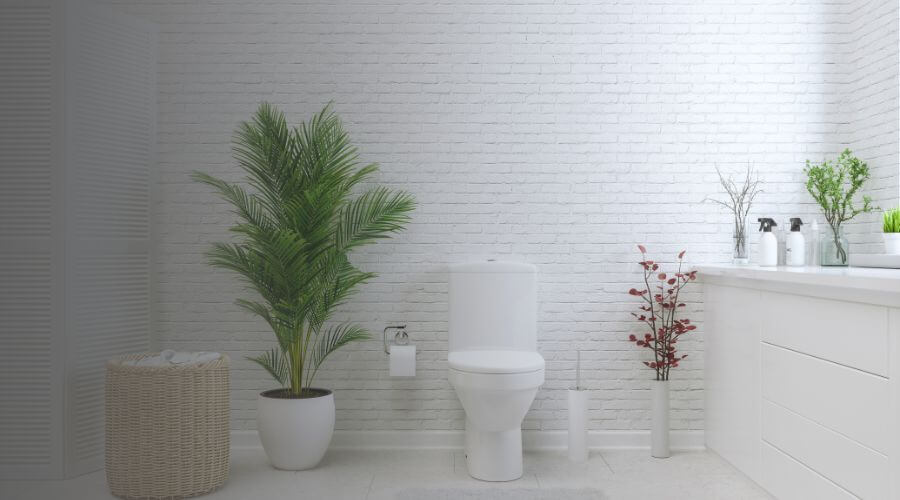 Why choose Bridgeport Portable Toilets Rental for construction toilets in Bridgeport,Ct